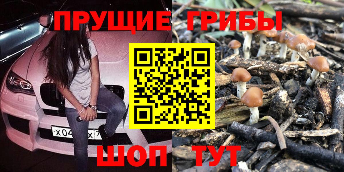 Псилоцибиновые грибы мухоморы Красногорск