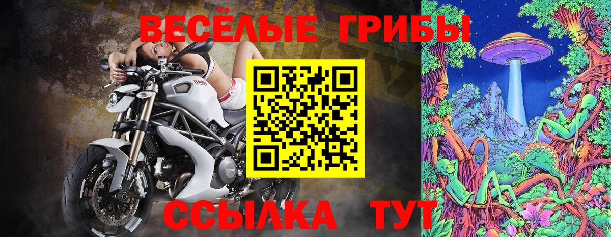 Красногорск  Псилоцибиновые грибы Cubensis  Вход с VPN 